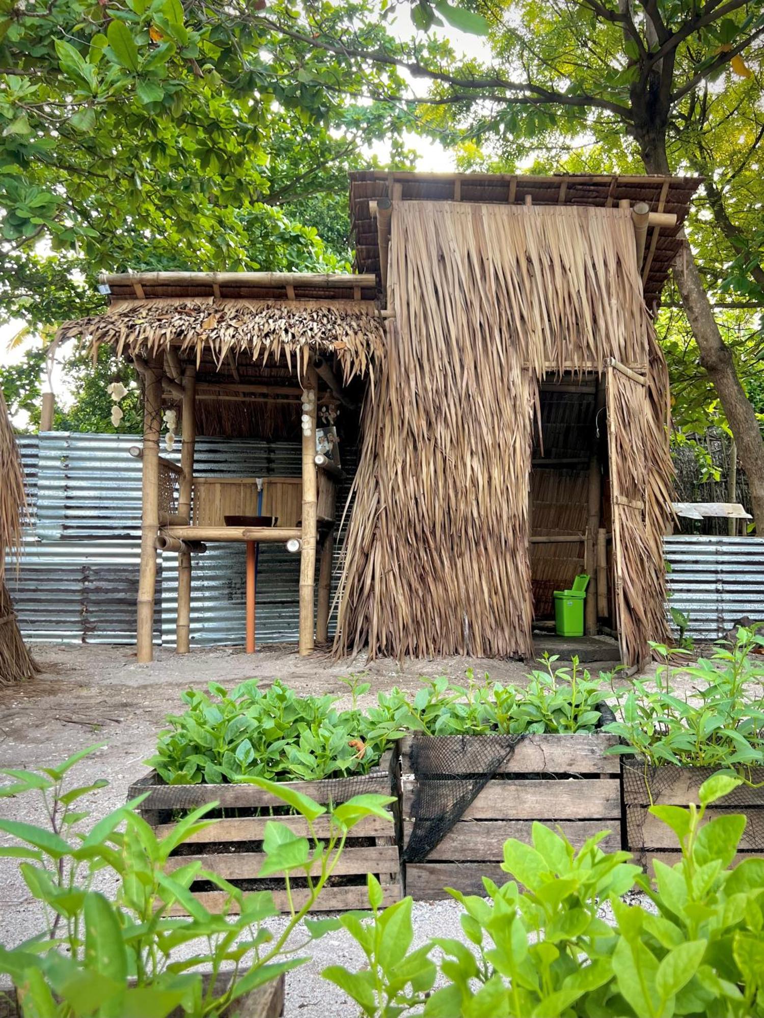 Хостел Tribal Huts Community Daanbantayan Номер фото